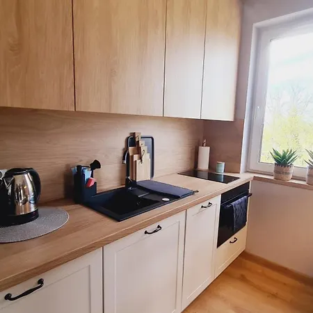 Apartament 31 Z Sauna Rowery, Spacery W Dolinie Baryczy - 5D Apartamenty Milicz Zewnętrze zdjęcie